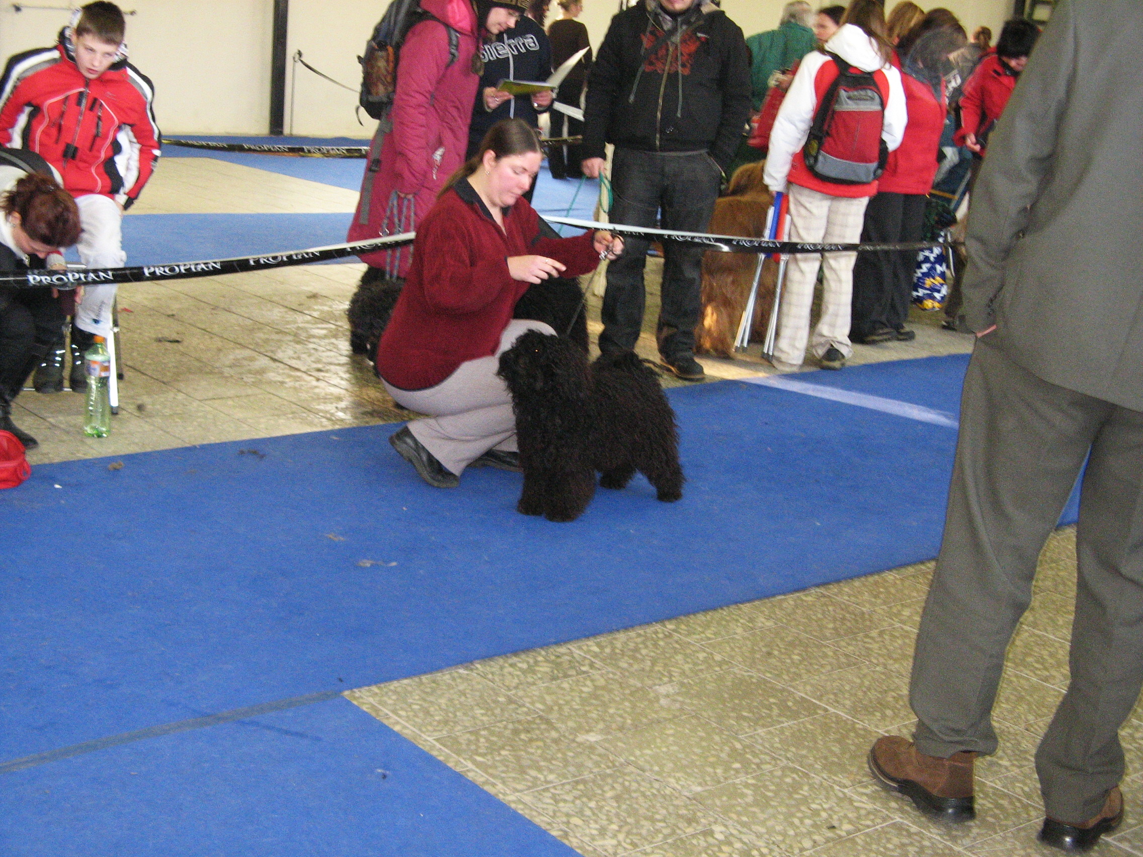 IMG_5387.jpg